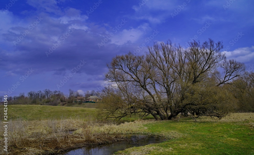 Spring landscape with river and trees Spring landscape with river and trees