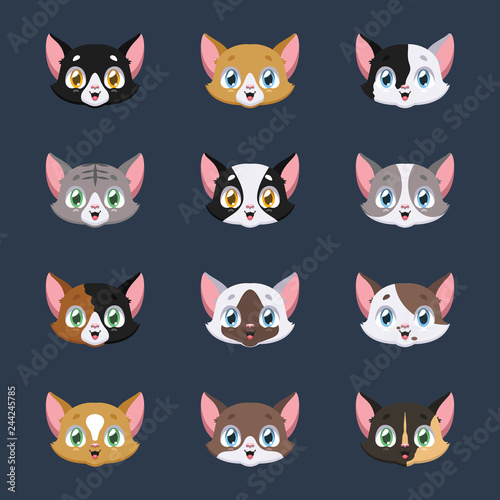 Collection of various cat avatars