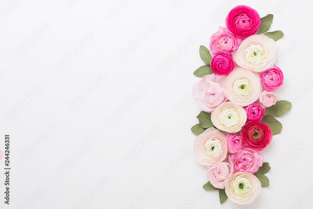 Beautiful colored ranunculus flowers on a white background. Spring greeting card.