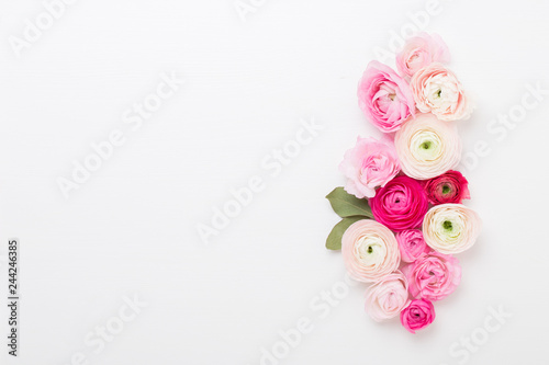 Beautiful colored ranunculus flowers on a white background. Spring greeting card. © gitusik