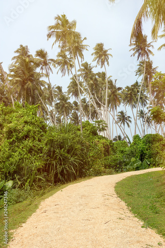 Island of Beruwala lighthouse at Sri Lanka, sun flare © Вадим Сирота