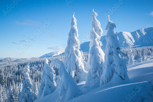Fototapeta Naklejka Na Ścianę i Meble -  Hala Gasienicowa - Tatry, zima 01.2019