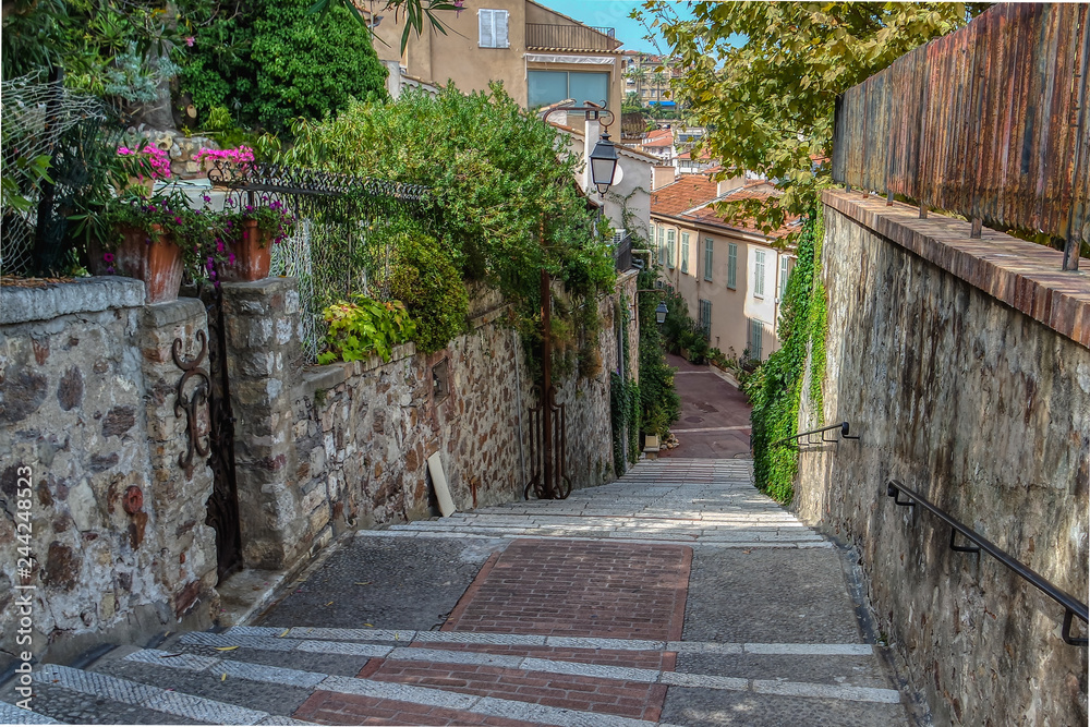 Street in the old city of Cannes, Cote dAzur, French, Riviera, South of France, Europe