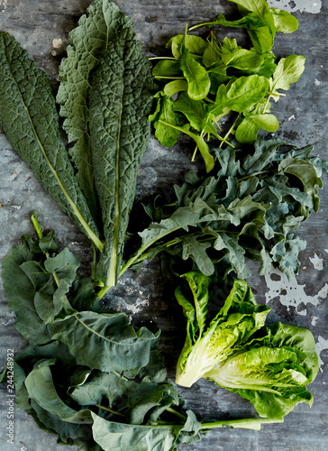 Still lIfe of fresh picked garden greens