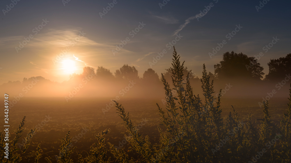 Morgennebel in Ahaus