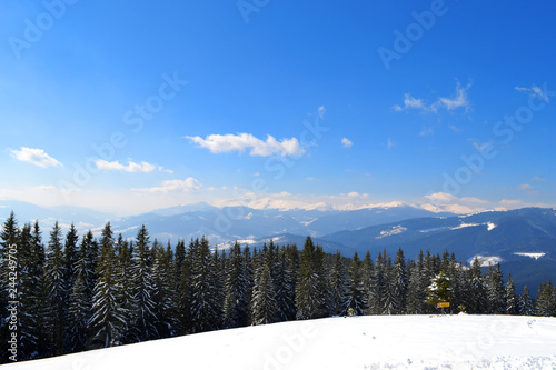 Winter climbing and skiing. Healthy lifestyle, tourism, adventure and sport concept. Panorama of Carpathian Mountains from top of Dovha mountain in sunny frosty day. Bird's eye view. photo