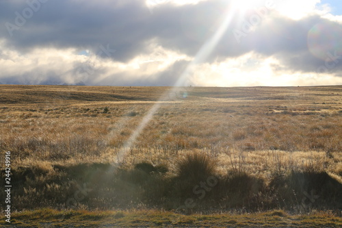 Sun lit landscape