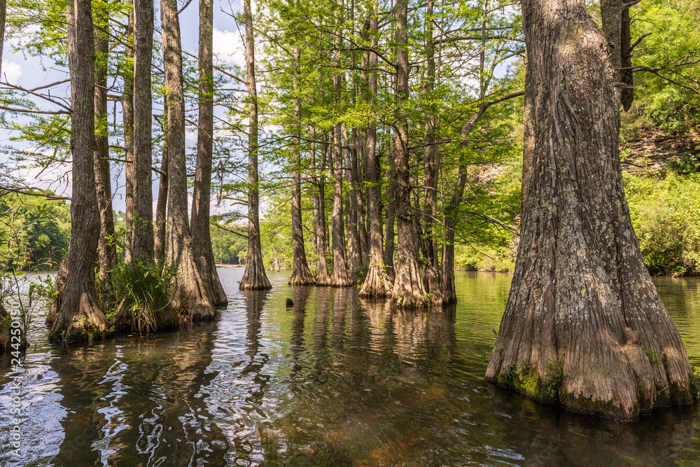 Beavers Bend State Park Beavers Bend State Park