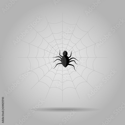 Vector illustration of Scary hairy black spider on web