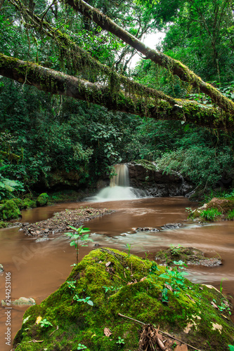 waterfall in the forest