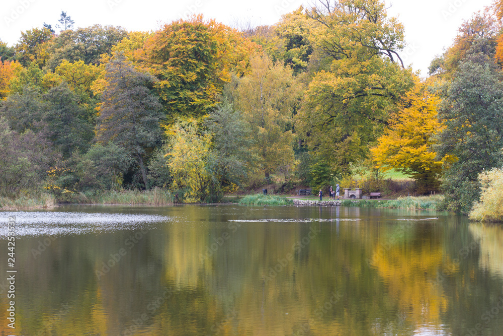 Autumn in a Sonerfri part by the lake, Denmark Autumn in a Sonerfri part by the lake, Denmark