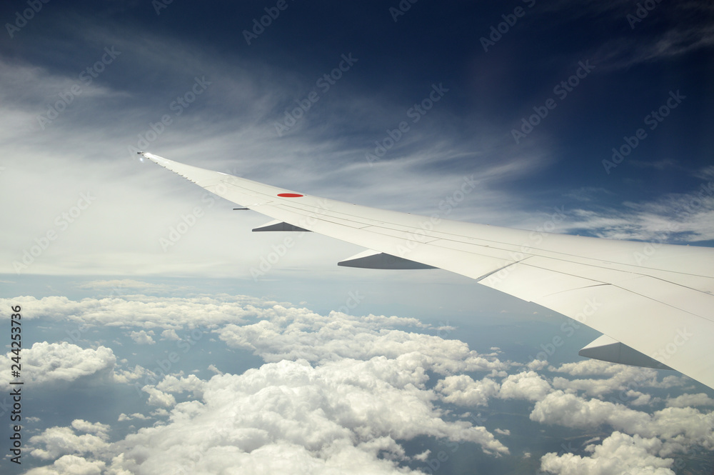 Obraz premium Airplane wing with Japanese Sun symbol