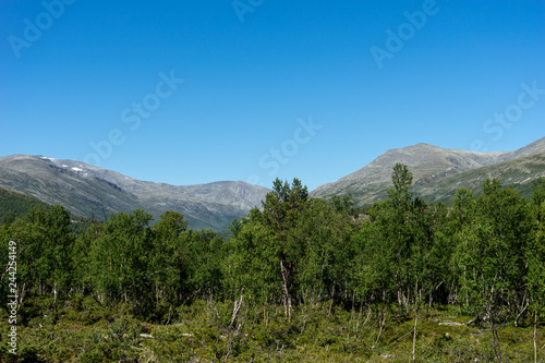 Landschaft im Skanmsdalsvegen im Dovrefjell