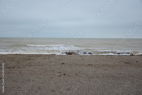 Winter sea and the beach in shades of creme brulee © fees_tashka_