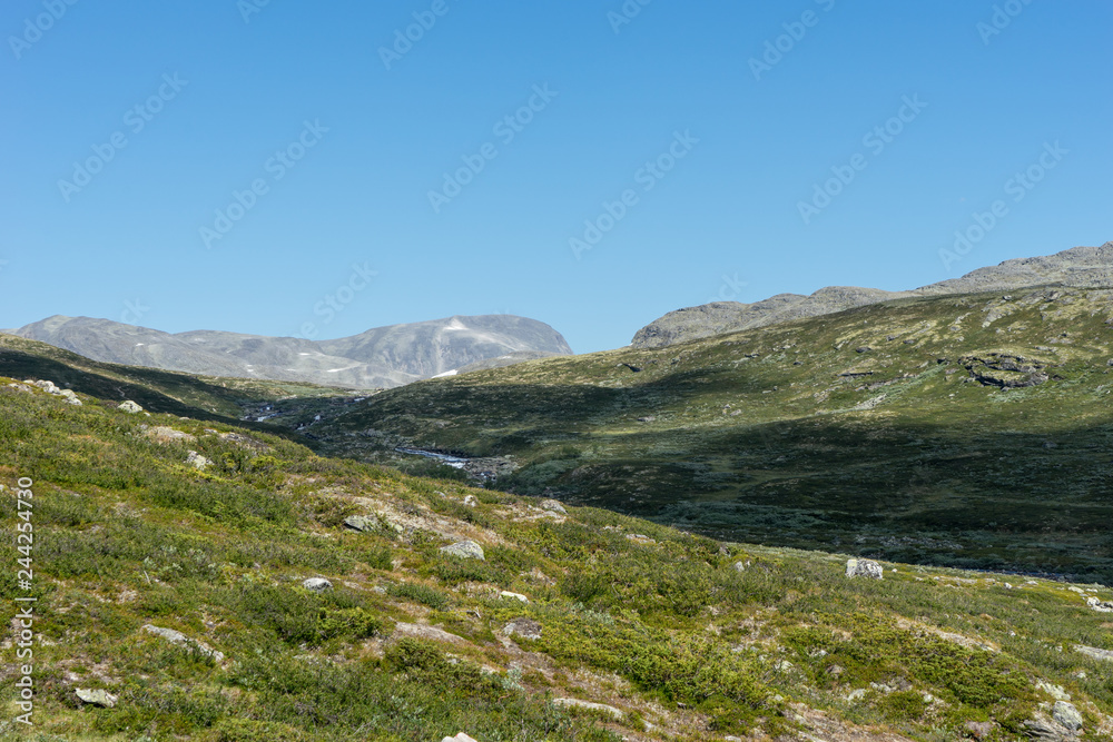 Fototapeta premium Landschaft im Skanmsdalsvegen im Dovrefjell