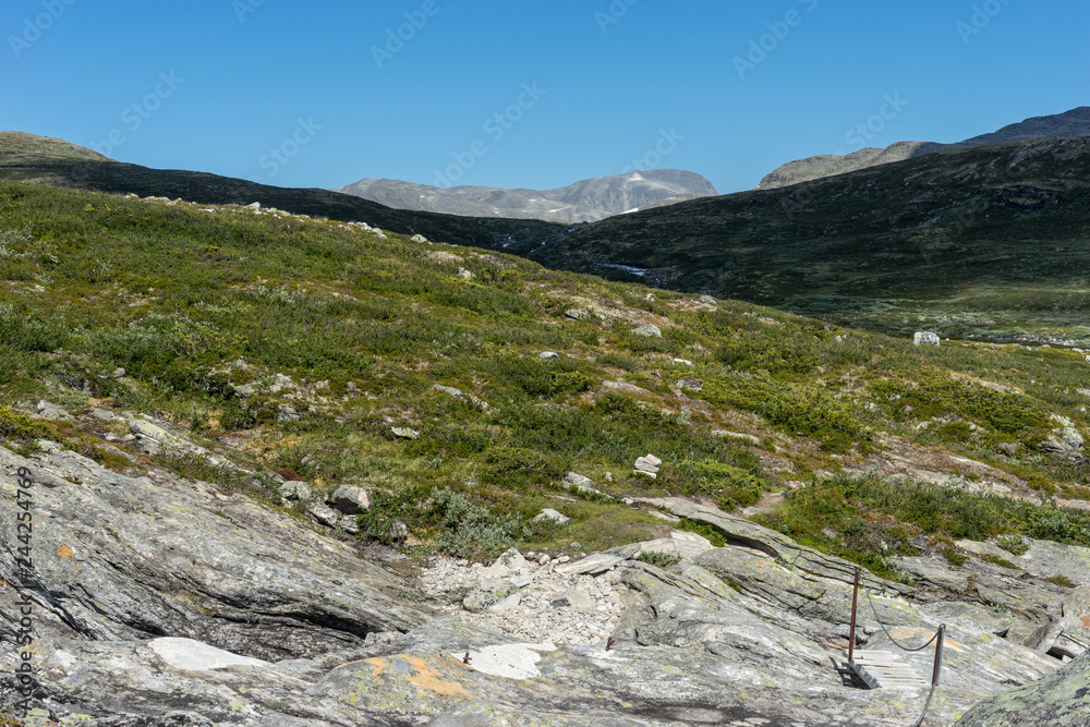 Obraz premium Landschaft im Skanmsdalsvegen im Dovrefjell