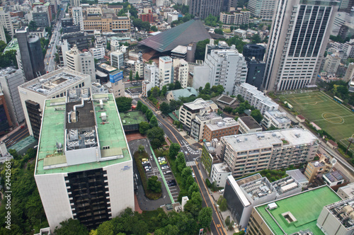 Fototapeta Naklejka Na Ścianę i Meble -  Aerial view of Tokyo skyline, Japan