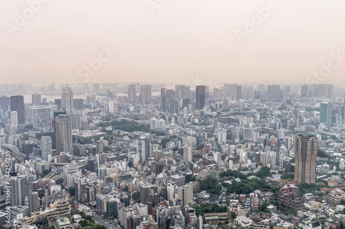 Aerial view of Tokyo skyline  Japan