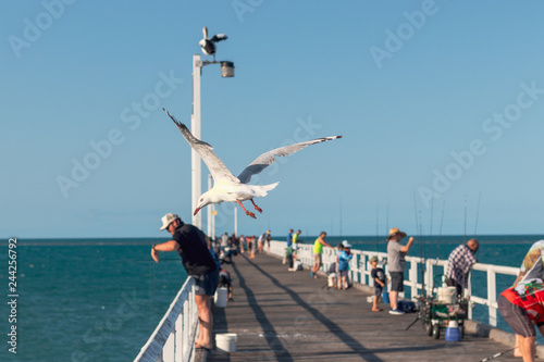 Fishing on the pier