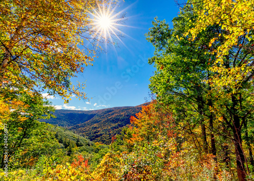 autumn landscape with trees and blue sky