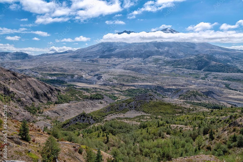view of Mt. St. Helens view of Mt. St. Helens