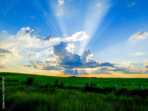 green field and blue sky