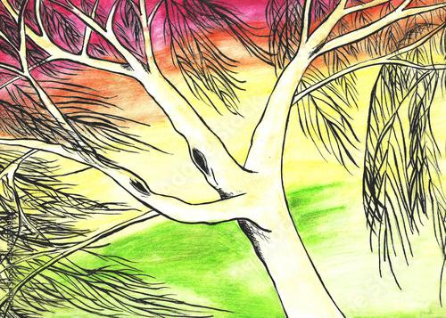tropical forest background