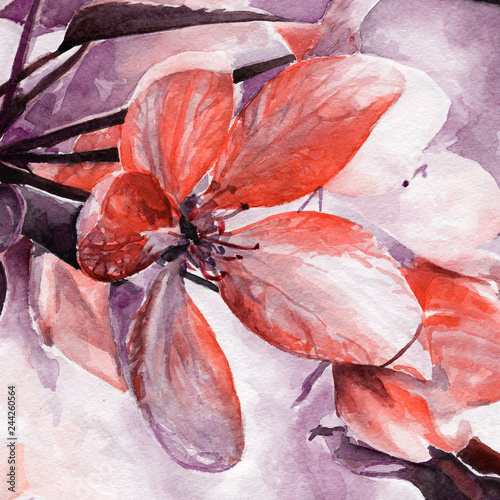 Cherry blossoms. spring bloom. flower and leaves. watercolor