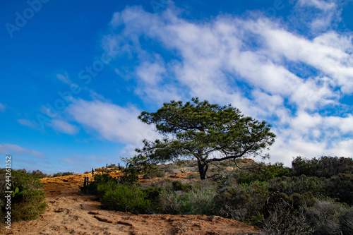 Skyscape at Torrey Pines