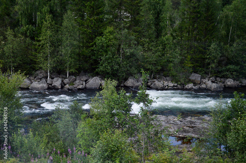 Norway Norwegian River Forest Nature Outdoor Travel