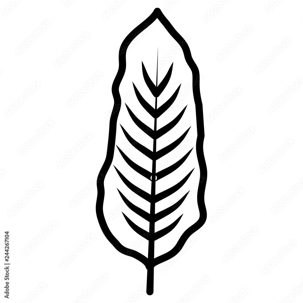 Obraz premium tropical leaf ecology icon