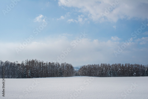 雪景色