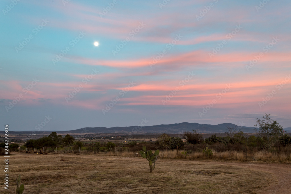 luna guanajuato