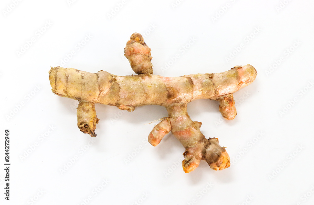 Fototapeta premium Cassumunar ginger Close up