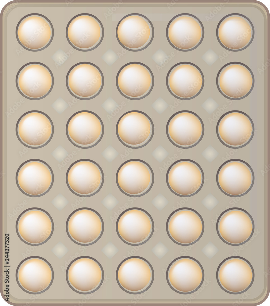 Top View of egg and paper tray Top View of egg and paper tray