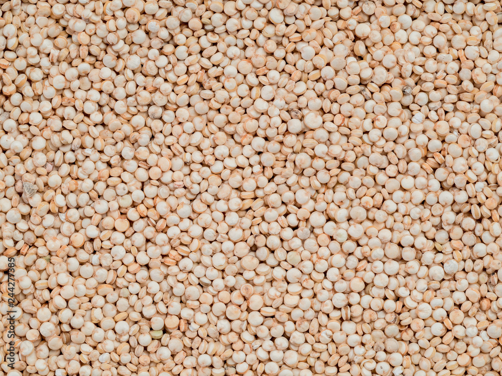 Grain of quinoa. Uncooked raw quinoa as background. Healthy vegan food concept and pattern Grain of quinoa. Uncooked raw quinoa as background. Healthy vegan food concept and pattern