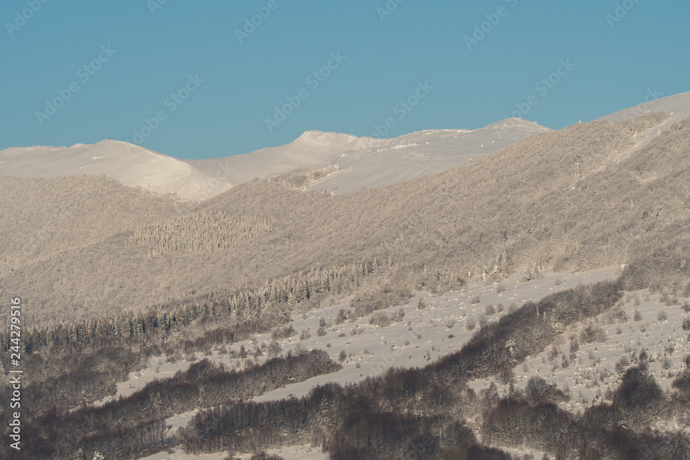 Mountain meadow and forest in a winter scenery. Polonina Wetlinska. Bieszczady Mountains. Poland