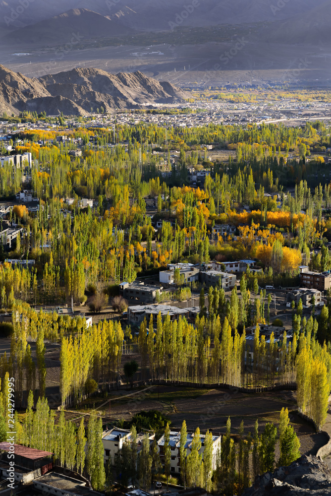 Leh Ladakh city scape  with sunlight