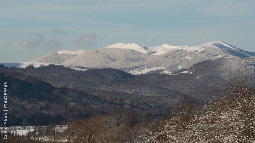 Mountain meadow and forest in a winter scenery. Polonina Carynska. Bieszczady Mountains. Poland