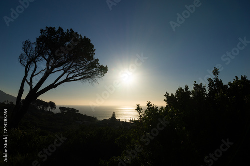 Start of African sunset over the ocean with blue sky and silhouette of tree and bushes.