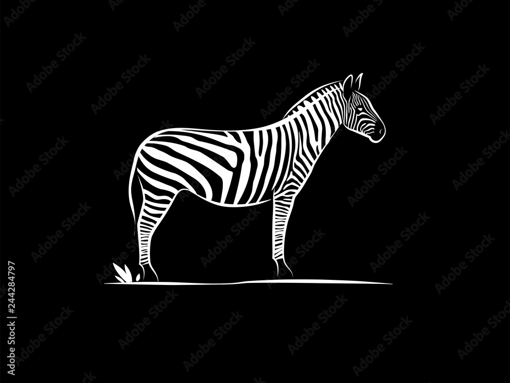 Naklejka premium simple silhouette outline zebra animal