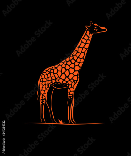simple silhouette outline giraffe animal