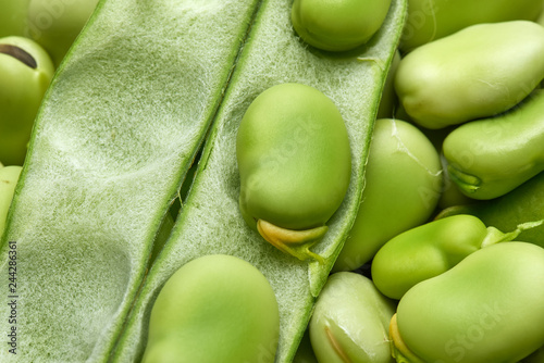 Close up of the leathery broad bean pod open on top of a layer of fresh green fava bean seeds.