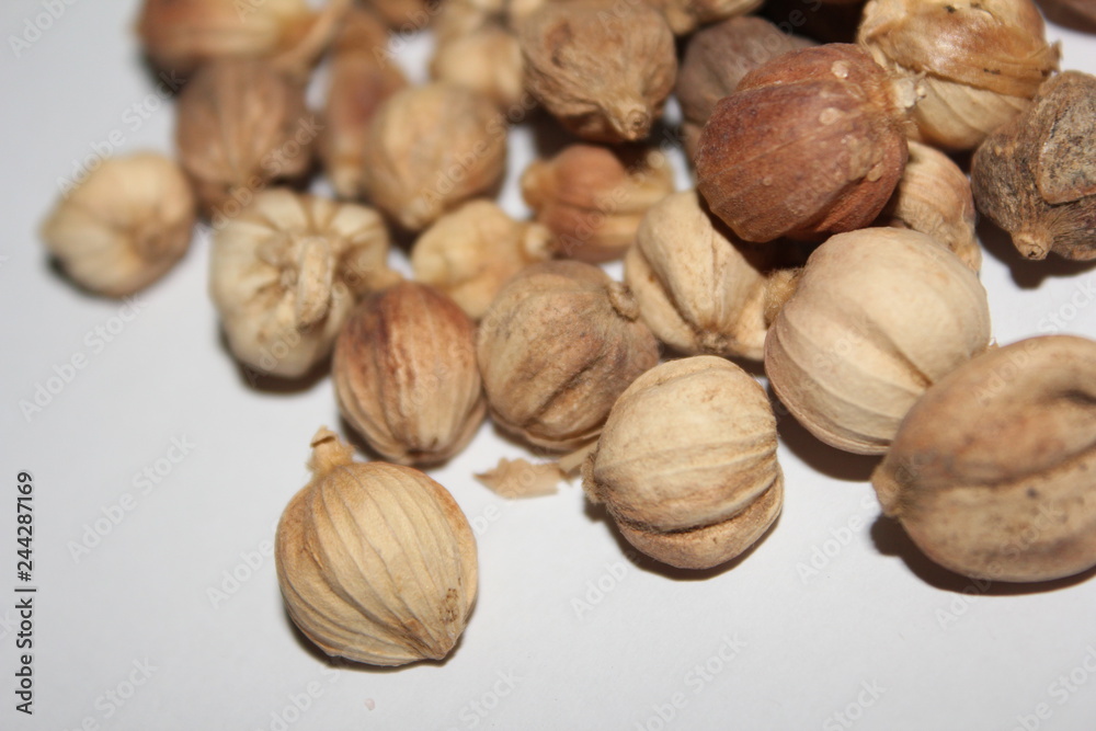 Dried Herbs,Amomum krervanh Pierre,Siam Cardamom, Best Cardamom, Clustered Cardamom, Camphor Seed,Zingiberaceae Dried Herbs,Amomum krervanh Pierre,Siam Cardamom, Best Cardamom, Clustered Cardamom, Camphor Seed,Zingiberaceae