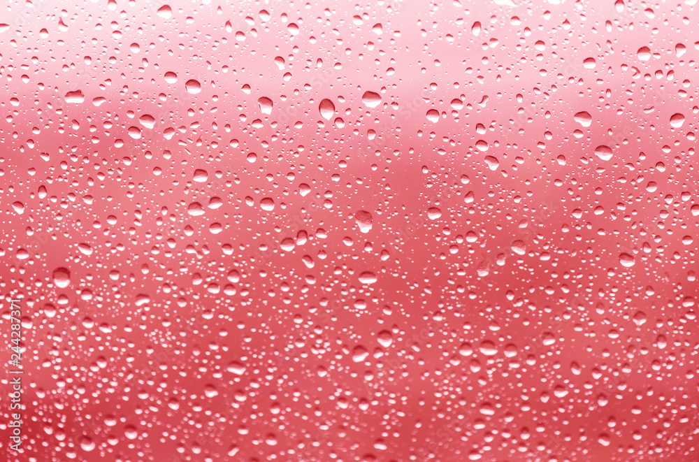 Fototapeta krople deszczu na szklanym tle