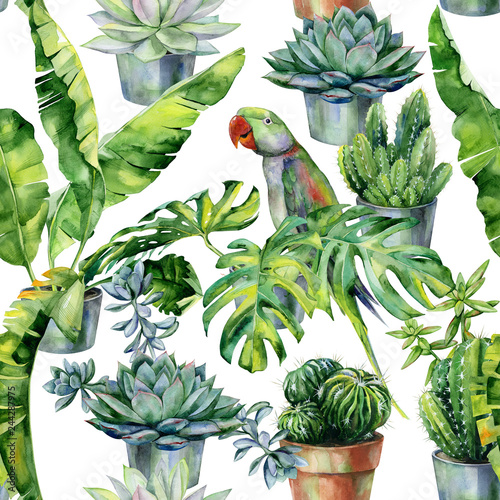 Seamless watercolor pattern with cactus and succulents in pots. Tropical leav...