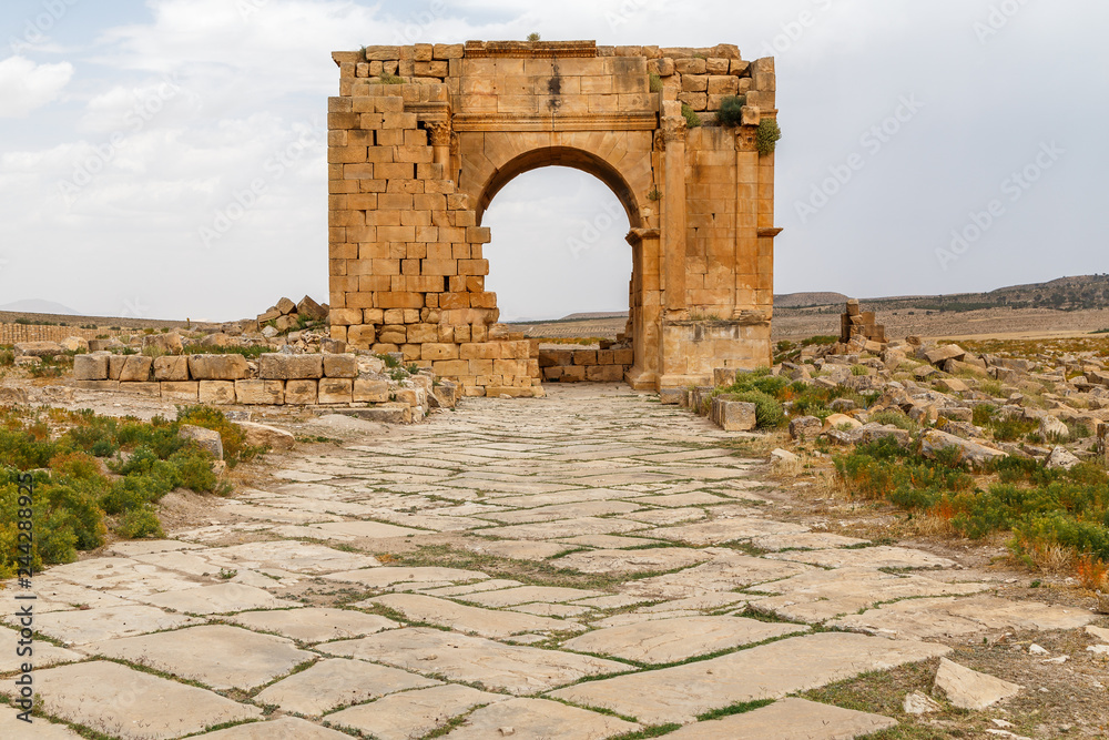 Ruins of the ancient Roman town Ammaedara (modern Haidra), Tunisia