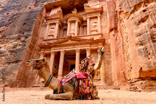 Spectacular view of two beautiful camels in front of Al Khazneh (The Treasury) in Petra. Petra is a historical and archaeological city in southern Jordan.