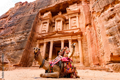 Spectacular view of two beautiful camels in front of Al Khazneh (The Treasury) at Petra. Petra is a historical and archaeological city in southern Jordan. photo