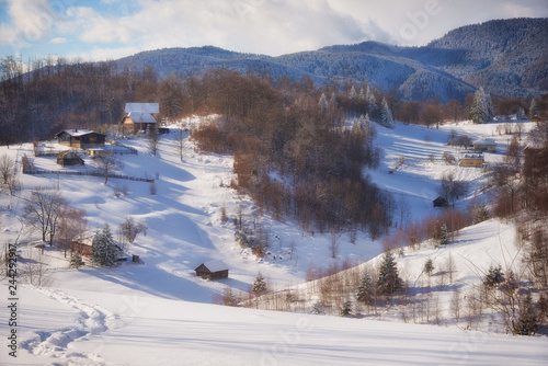 Beautiful day of winter on magical wild Transylvania mountain hills. © Constantin